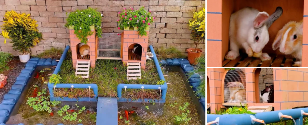 como elaborar un refugio para conejos