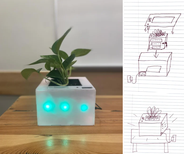 Como elaborar una maseta de plantas fácil y rápido
