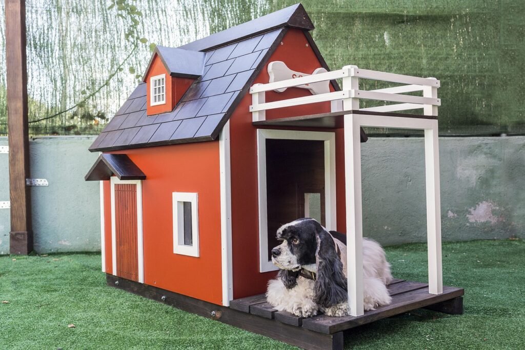 Cómo Diseñar la Casa Ideal para Tu Perro en Exteriores