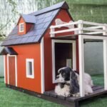 Cómo Diseñar la Casa Ideal para Tu Perro en Exteriores